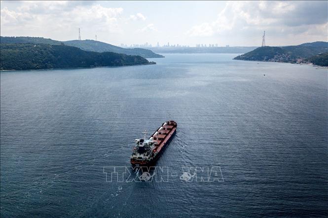 Tàu chở ngũ cốc Ukraine di chuyển qua Eo biển Bosphorus ở Istanbul, Thổ Nhĩ Kỳ ngày 3/8/2022