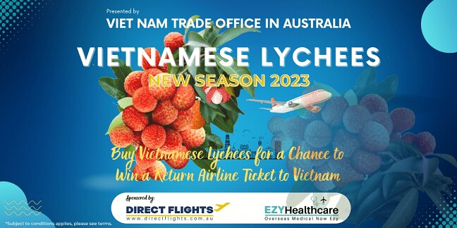 Vải thiều Việt Nam gặp bất lợi tại thị trường Australia ảnh 1