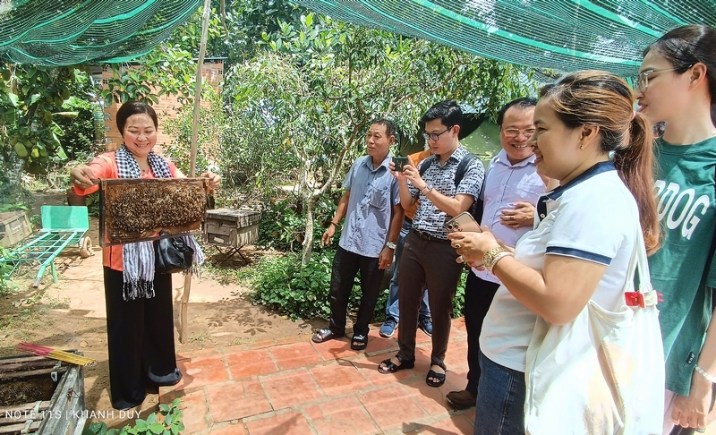 Tham quan quy trình sản xuất mật ong.