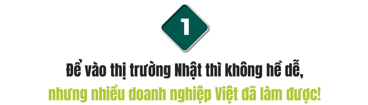 CEO Rikkei Japan: Chúng tôi muốn người Nhật nhìn vào cũng phải nể người Việt hơn! - Ảnh 1.