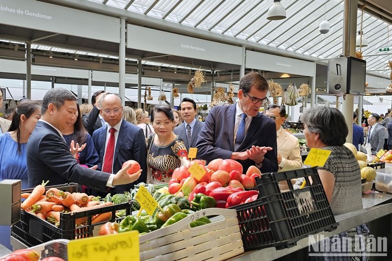 Thành phố Hồ Chí Minh và Porto (Bồ Đào Nha) thúc đẩy hợp tác trên nhiều lĩnh vực ảnh 4