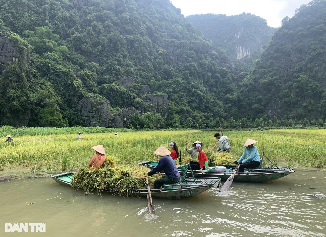 Khu du lịch Tam Cốc đang đóng cửa có gì đặc biệt? - 8