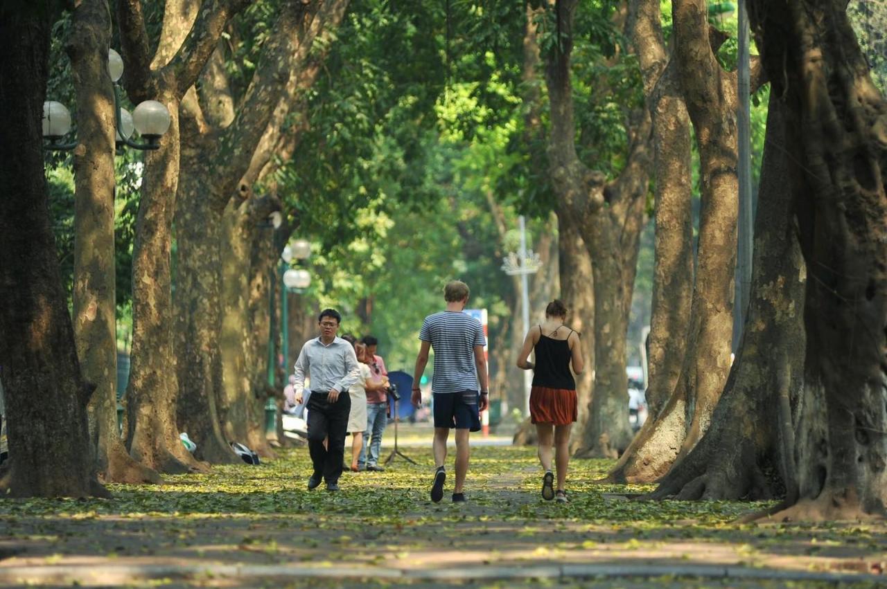 Hà Nội: Xuống phố mùa sấu chín cốm xanh, săn ảnh nắng khi thu về - 12