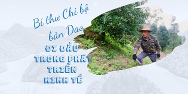 Bí thư Chi bộ bản Dao đi đầu trong phát triển kinh tế