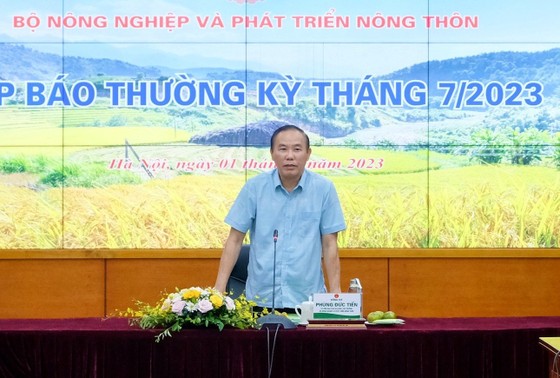 Giá gạo tăng cao: Không tranh thủ sẽ lỡ cơ hội ảnh 2