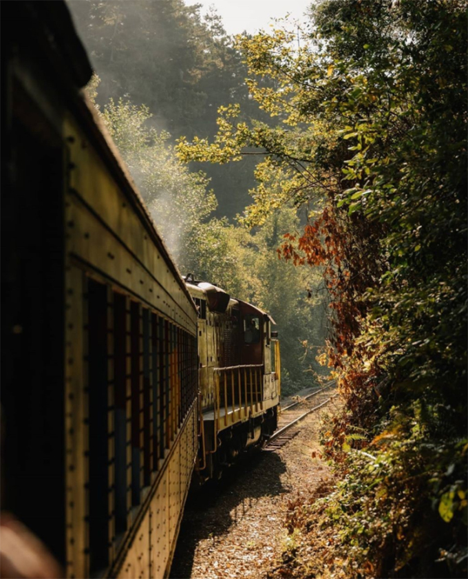 Quang cảnh hai bên đường nơi tàu Skunk Train đi qua. Ảnh: Instagram