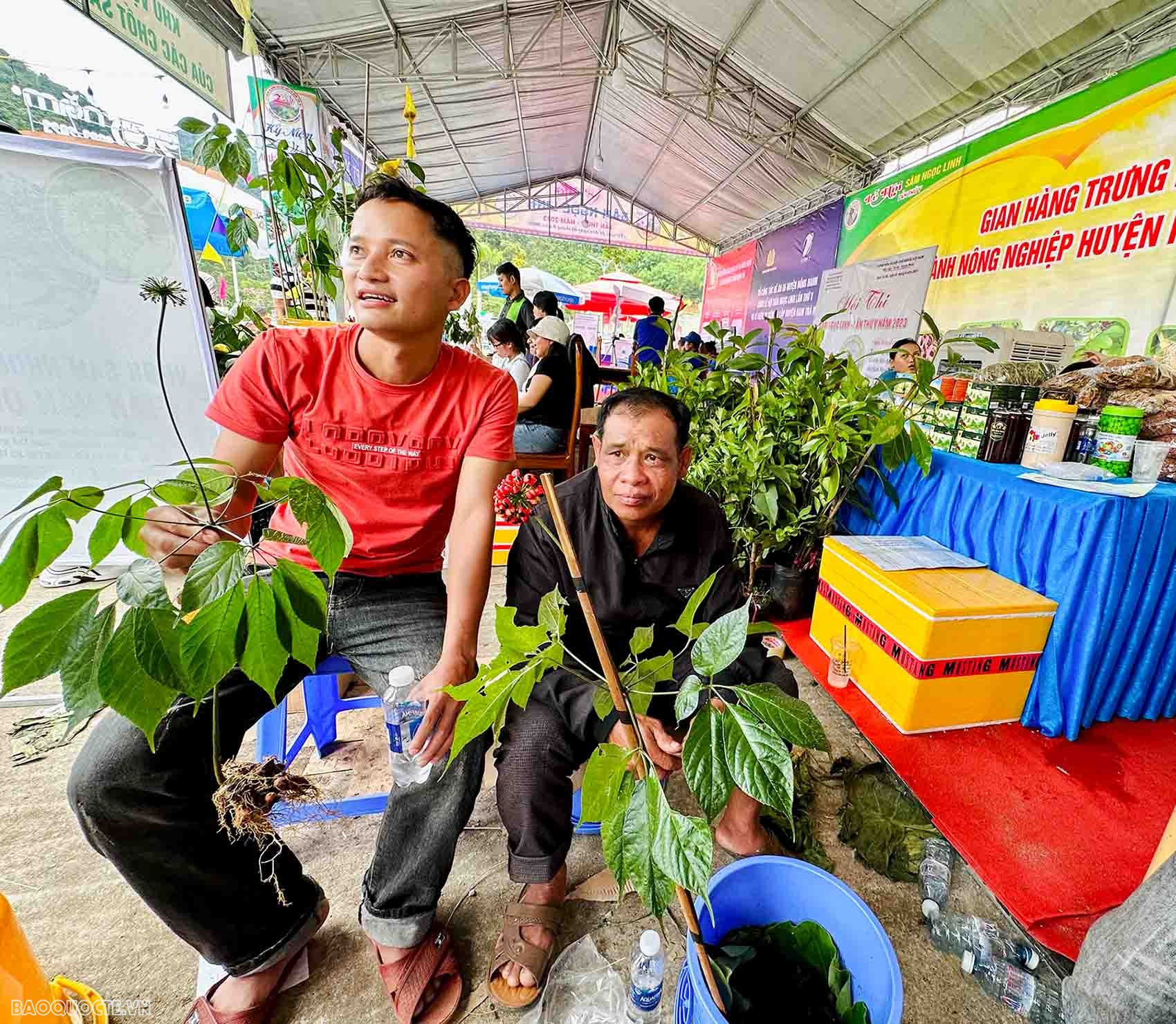 Quảng Nam: 60 gian hàng tham gia phiên chợ sâm Ngọc Linh