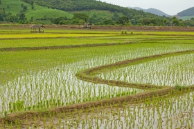 Đoàn Kinh tế - Quốc phòng 337: 8,5 tỉ đồng triển khai các mô hình chăn nuôi, trồng trọt và hỗ trợ dụng cụ sản xuất cho Nhân dân