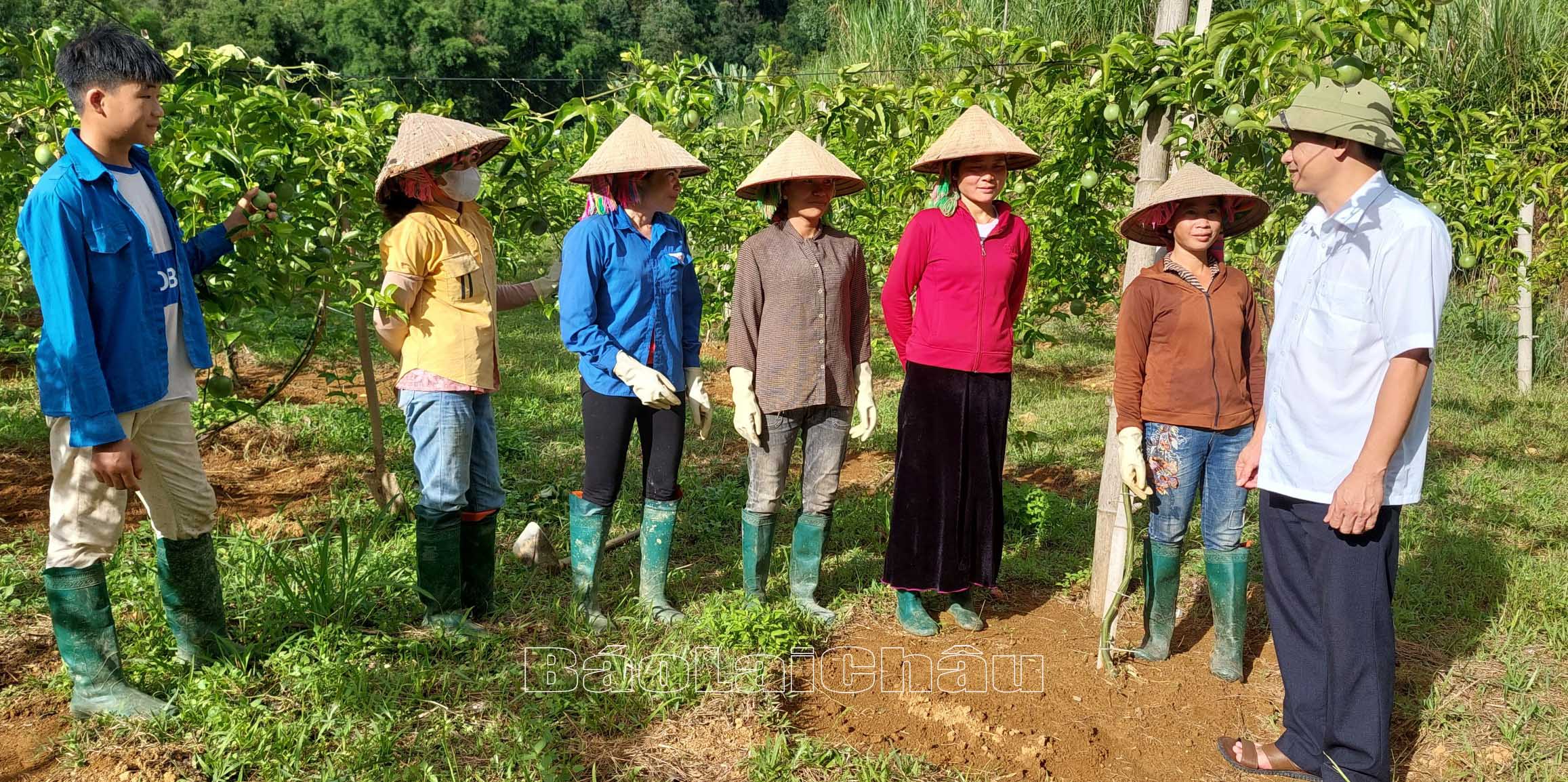 ...vận động Nhân dân các dân tộc trên địa bàn tham gia xây dựng các mô hình kinh tế mới nhằm nâng cao thu nhập.