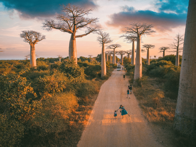 Mai Hương (váy xanh) và con gái chụp ảnh tại đại lộ baobabs ở Madagascar.