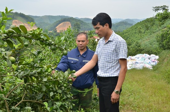 Thúc đẩy quá trình “tri thức hóa nông dân” ảnh 2