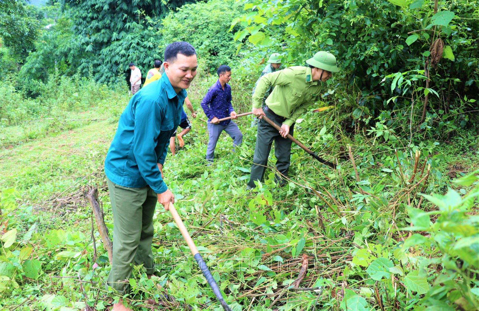 Kiểm lâm huyện cùng người dân xã Nậm Cuổi (huyện Sìn Hồ) phát dọn thực bì rừng