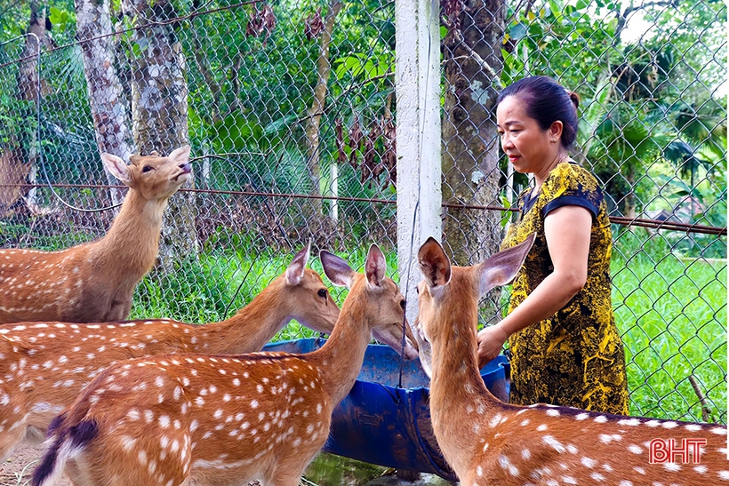 Những cơ sở OCOP do phụ nữ Hà Tĩnh làm chủ 