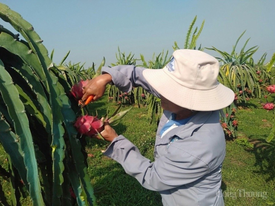 Xuất khẩu ngày 14-18/8: Nhãn Việt 'đắt khách' tại siêu thị Thái Lan; Bộ Công Thương triển khai loạt giải pháp điều hành xuất khẩu gạo