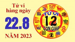 Tử vi hôm nay, xem tử vi 12 con giáp hôm nay ngày 22/8/2023: Tuổi Mão mở rộng mối quan hệ