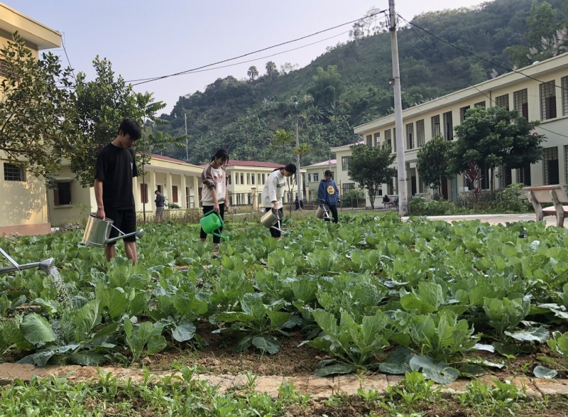 Các thành viên Công đoàn tận dụng các thửa đất trống trong cơ sở trồng nhiều loại rau luân phiên theo mùa vụ.