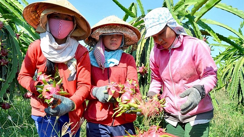 Tăng 6,7%, xuất nhập khẩu hàng hoá tháng 8 khởi sắc