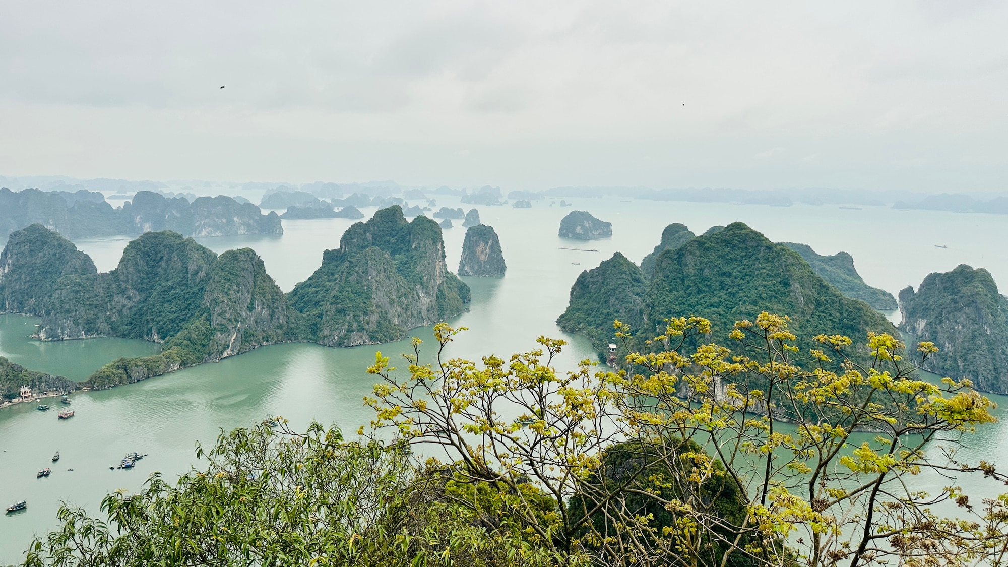 Chuyên gia nói gì về nguy cơ sạt lở của hòn Trống Mái trên vịnh Hạ Long? - Ảnh 2.