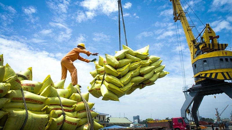 Doanh nghiệp nào lọt danh sách thương nhân được cấp giấy chứng nhận đủ điều kiện kinh doanh xuất khẩu gạo?