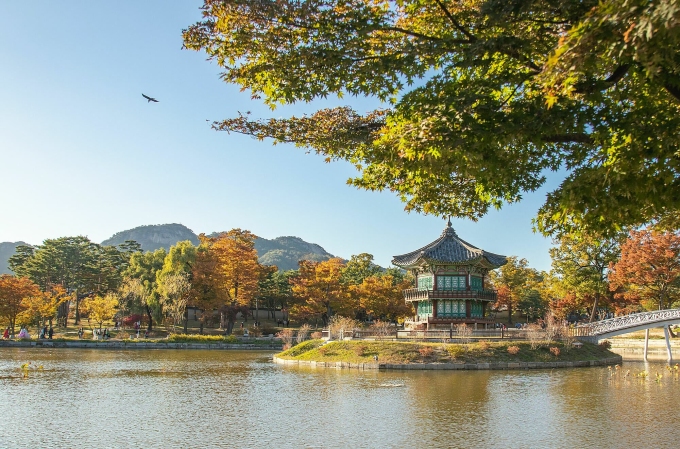 Cung điện Gyeongbokgung (Seoul, Hàn Quốc) vào mùa thu. Ảnh: INHYEOK PARK/Unsplash