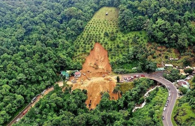 Sạt lở đất khiến nhiều người chết: 'Hãy xem con người tác động vào rừng thế nào?' - Ảnh 2.