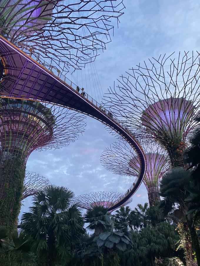 Gardens by the bay dưới ống kính nam du khách Việt.