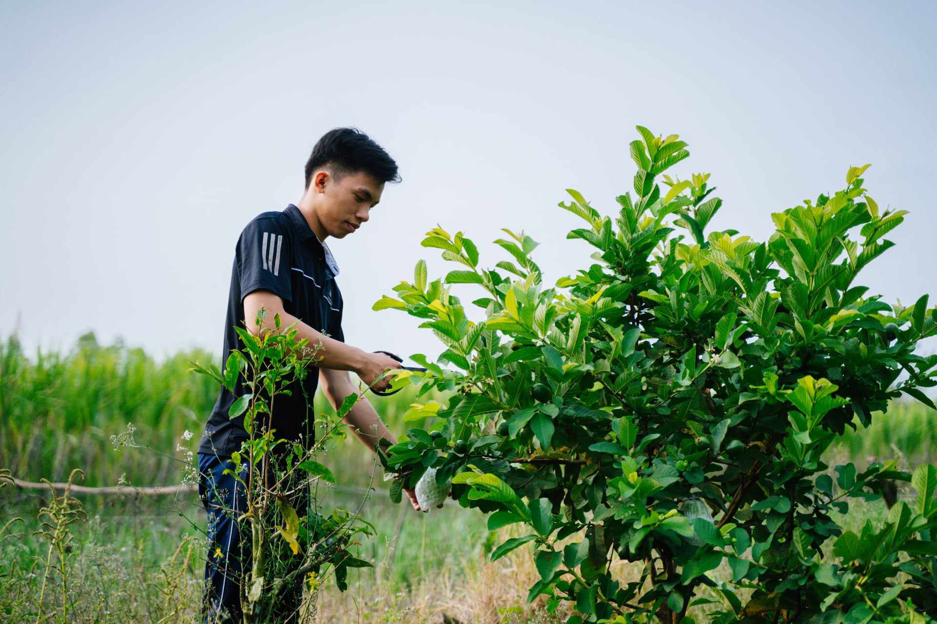 Mạnh dạn chuyển đổi, chủ vườn kiếm chục triệu đồng mỗi tháng