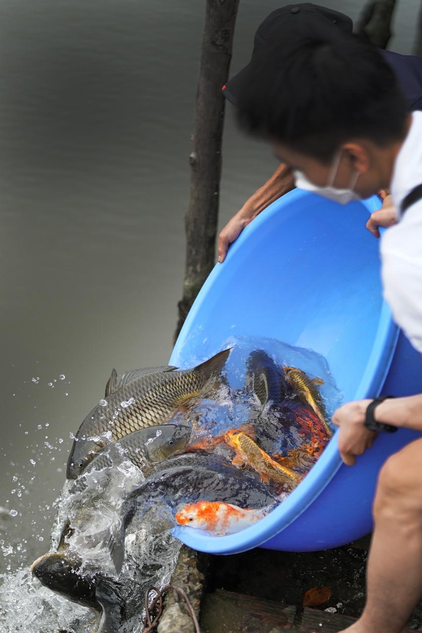 Nhiều người đến đây thả cá phóng sinh, cầu bình an cho gia đình.