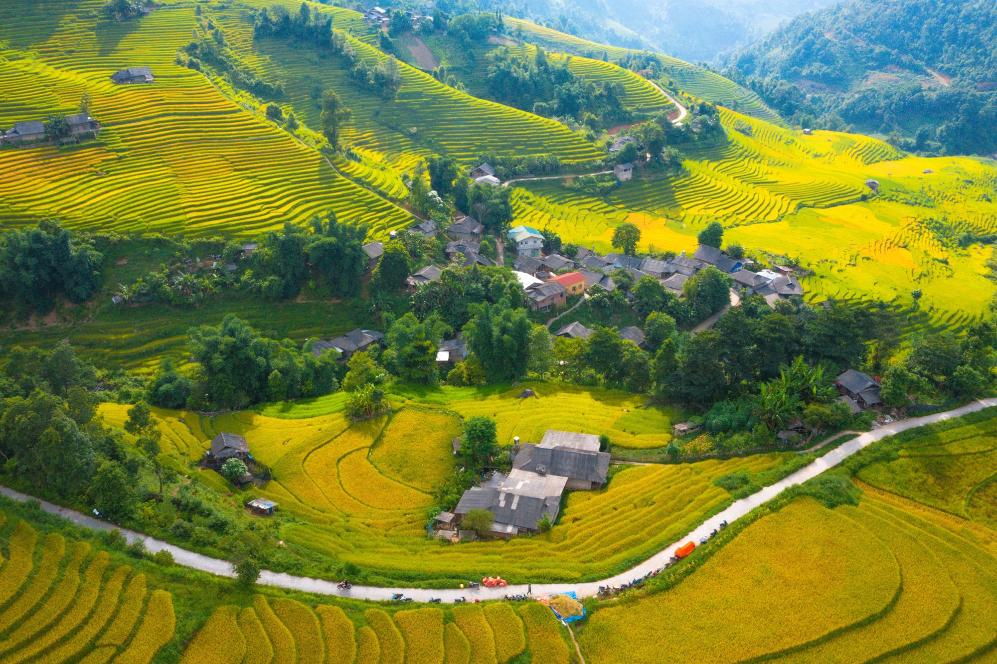 Ruộng bậc thang Sa Pa chín sớm làm 'say lòng' lữ khách - Ảnh 1.