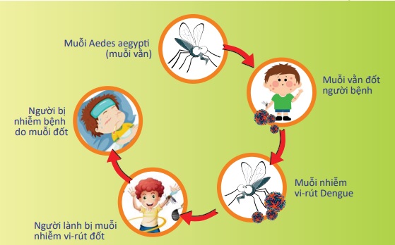 TP.HCM: Số ca sốt xuất huyết tăng 19% so với trung bình 4 tuần trước - Ảnh 1.