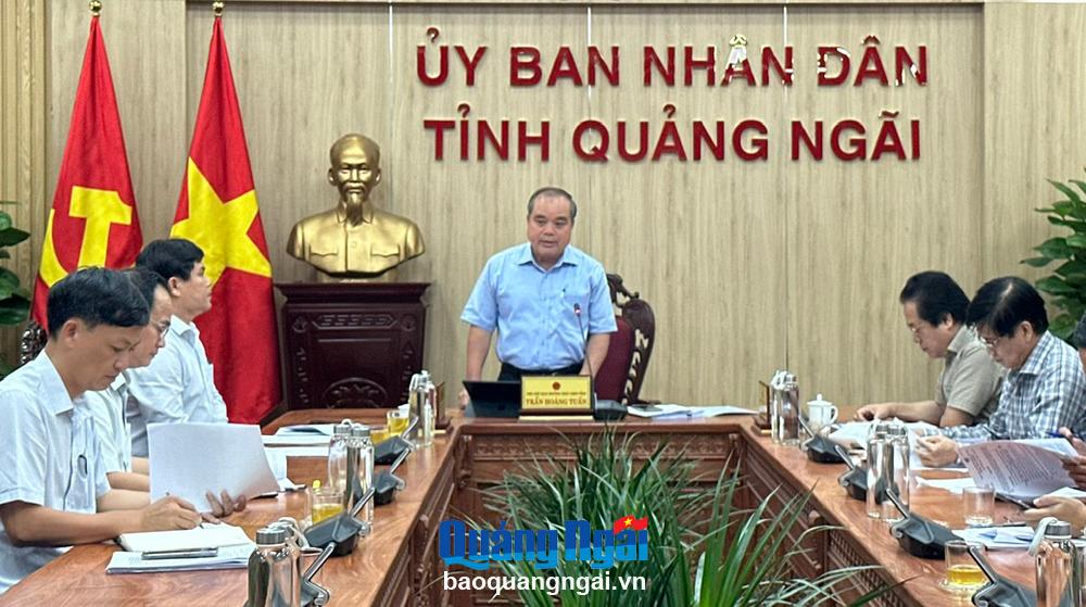 Phó Chủ tịch Thường trực UBND tỉnh Trần Hoàng Tuấn phát biểu kết luận tại cuộc họp.