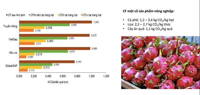 Việt Nam truy xuất phát thải carbon trên trái thanh long Bình Thuận - Ảnh 1.
