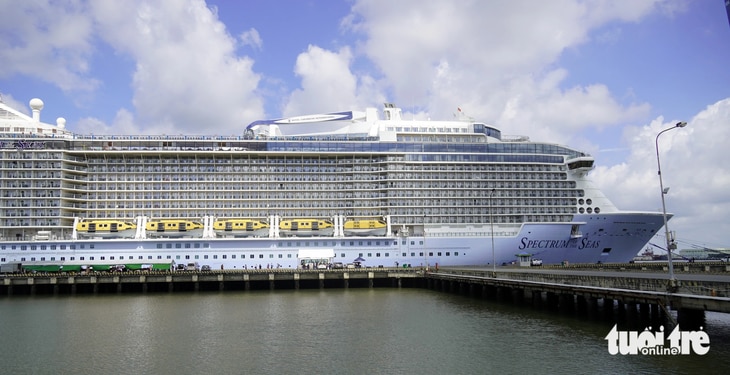 Tàu Spectrum of the Seas cập cảng ở Bà Rịa - Vũng Tàu sáng 22-8, đưa theo hơn 4.000 khách quốc tế - Ảnh: ĐÔNG HÀ 