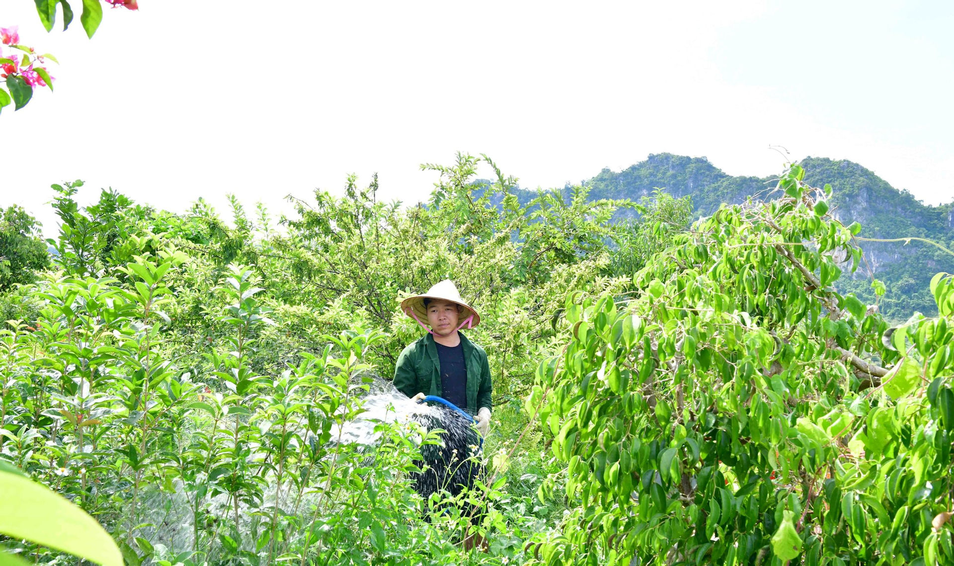 nhieu bat capthieu sot duoc chi ra tai ket qua kiem toan chuong trinh muc tieu quoc gia xay dung nong thon moi hinh 2