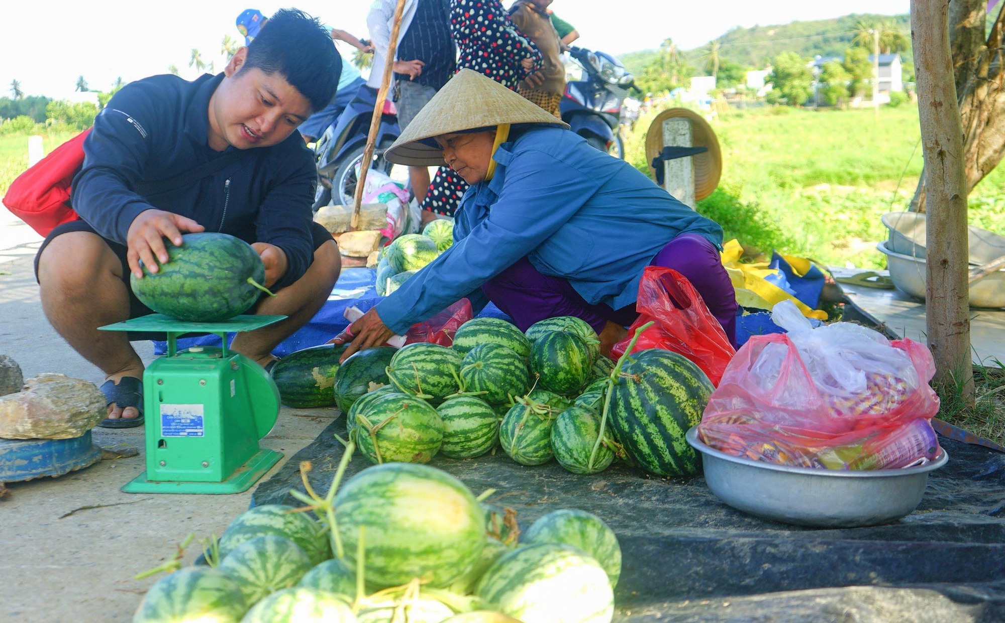 Du khách &quot;bỏ phố về quê&quot; trải nghiệm hái dưa hấu dưới chân núi - Ảnh 6.