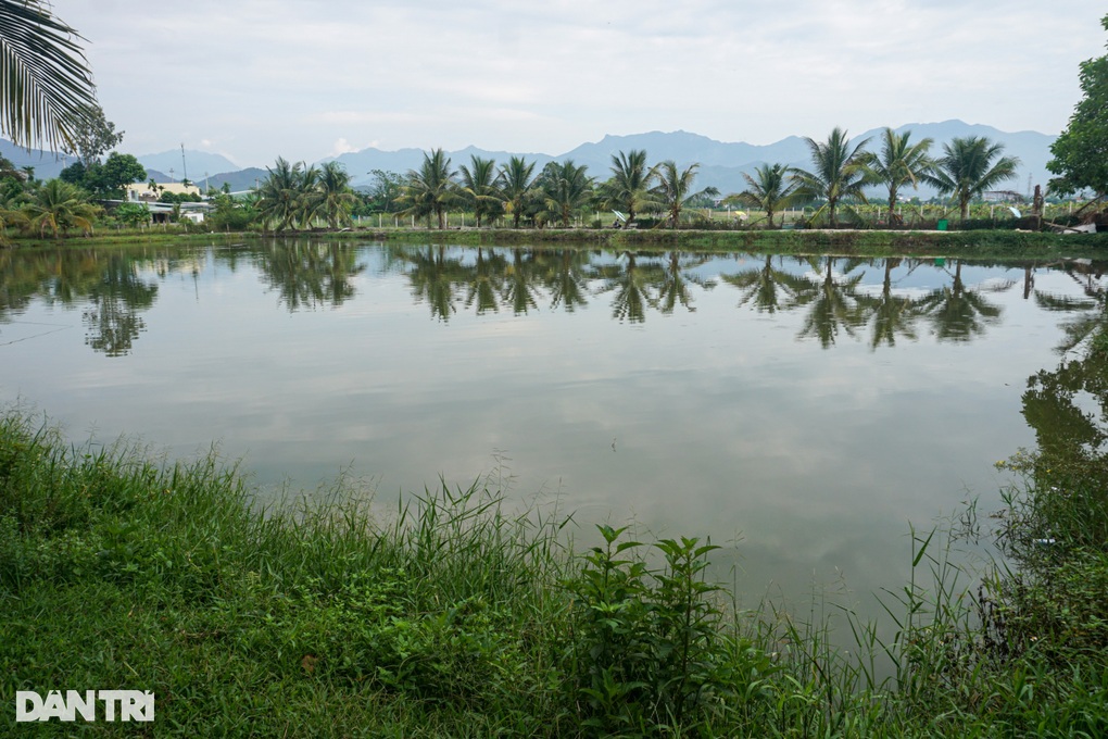 Phất lên trông thấy với loài cần thủ khoái săn - 2