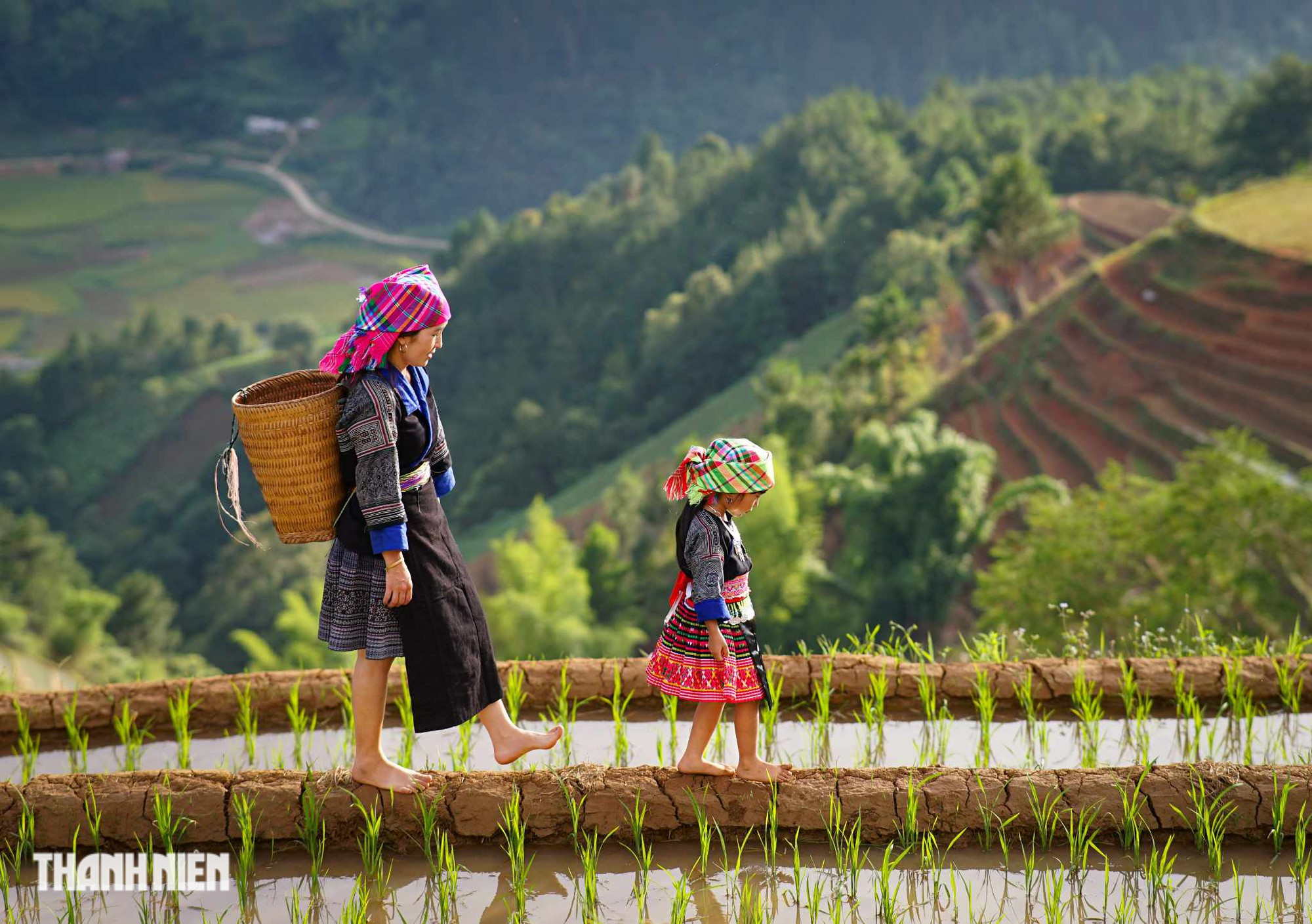 Mãn nhãn ruộng bậc thang Mù Cang Chải mùa nước đổ - Ảnh 5.