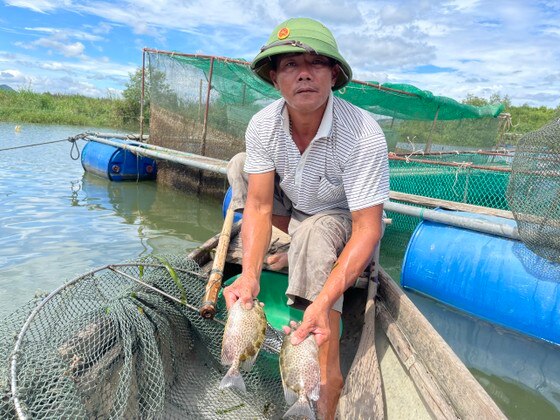 Ông Phạm Minh Đậu, người đầu tiên nuôi cá đặc sản ở ngã ba sông ảnh 4