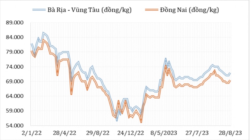 Diễn biến giá hạt tiêu đen tại thị trường nội địa từ đầu năm 2022 đến nay (Nguồn: Hiệp hội Hạt tiêu Việt Nam)