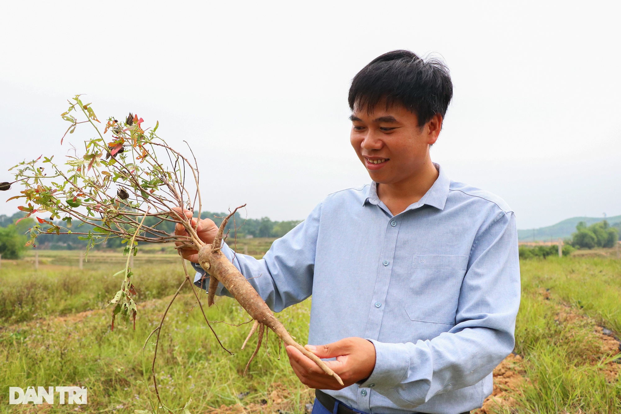 Máu liều của cử nhân lịch sử với sâm tiến vua mang về hơn nửa tỷ đồng/năm - 7