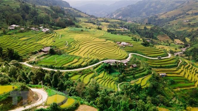 Khai mạc Festival dù lượn ‘Bay trên mùa vàng’ tại Mù Căng Chải và chương trình du lịch 'Qua những miền di sản ruộng bậc thang' tại Hoàng Su Phì