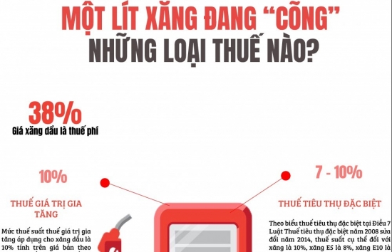 Giá xăng dầu đang “cõng” những loại thuế nào?