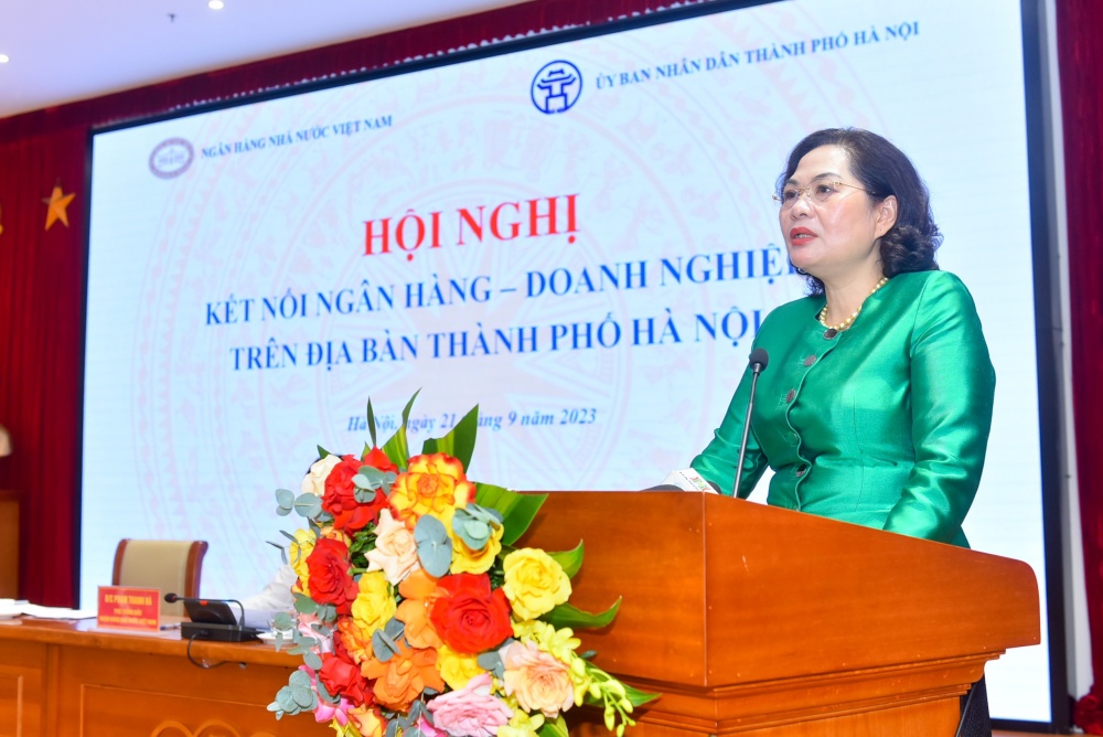 'Doanh nghiệp mất khả năng hấp thụ thì ngân hàng đưa nhân sâm vào cũng chết' - Ảnh 3.