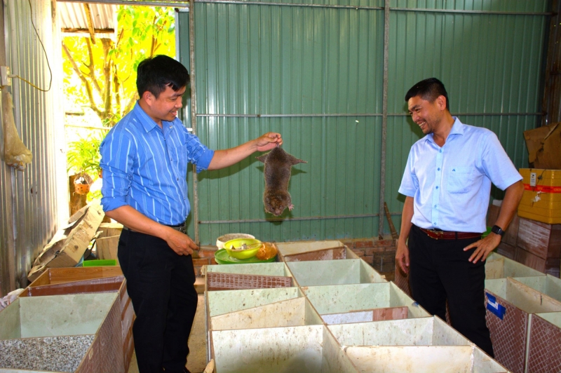 Phan Hùng Sơn(bên phải) thăm mô hình nuôi dúi của anh Nguyễn Cường ở xã Sơn Long. 