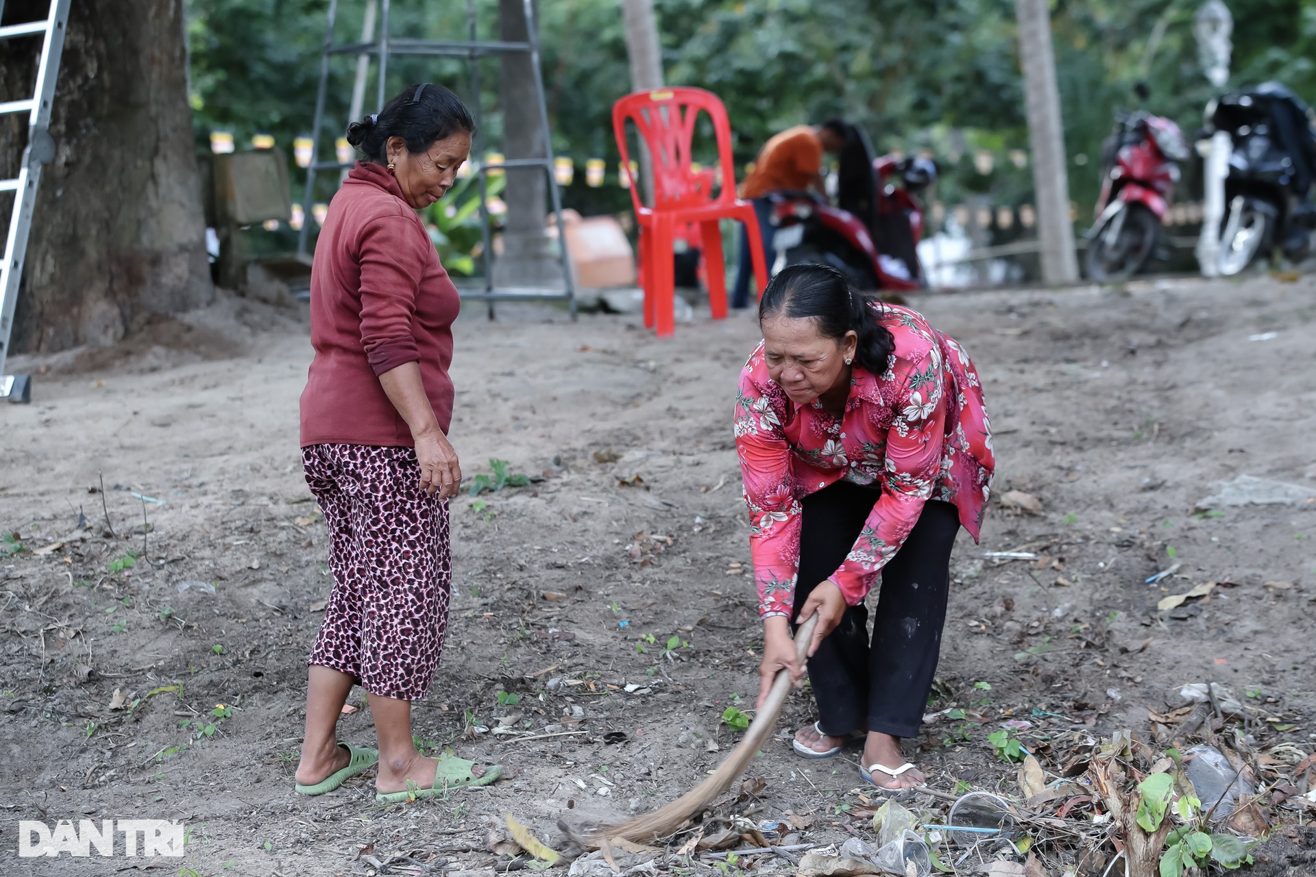 Hội đua bò chùa Rô trước giờ khởi tranh - 8