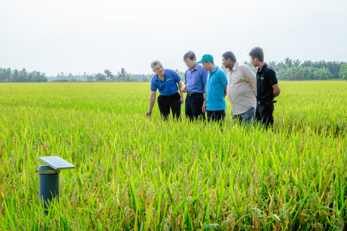 Tiến sĩ Thanh Mỹ (ngoài cùng bên trái) cùng các khách tham quan các giải pháp công nghệ trên đồng ruộng. Ảnh công ty cung cấp