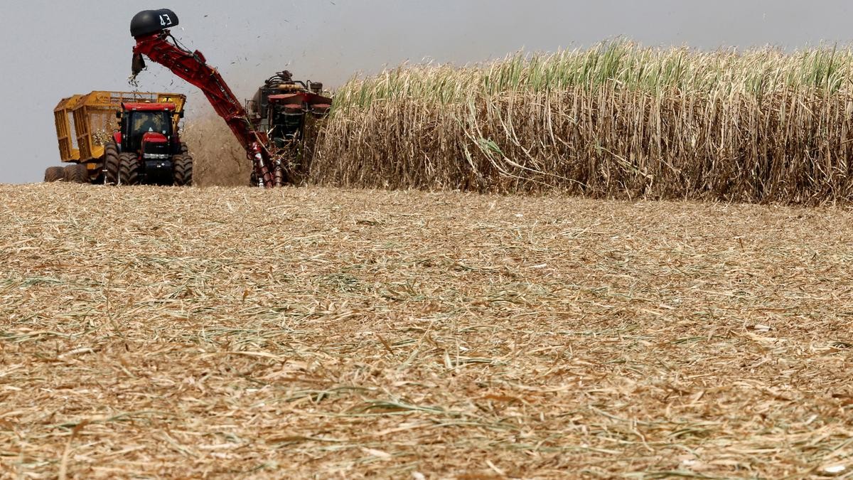 Brazil là nhà sản xuất đường và ethanol lớn nhất thế giới. (Nguồn: Reuters)