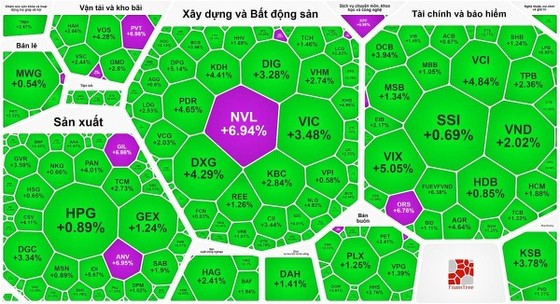 Sắc xanh và tím bao trùm thị trường