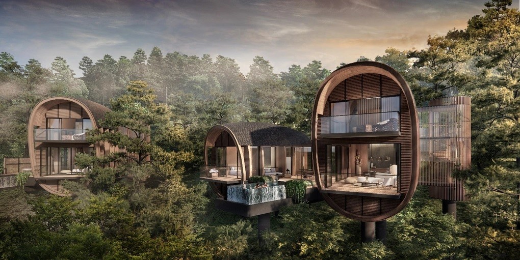 Tree Top Villa, phòng khách sạn cao cấp độc đáo trên cây, lần đầu được giới thiệu. (Nguồn: BIM Land).