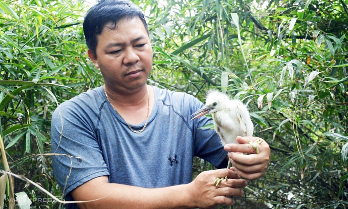 Anh Thắng chăm sóc một con chim non bị thương. Ảnh: An Minh